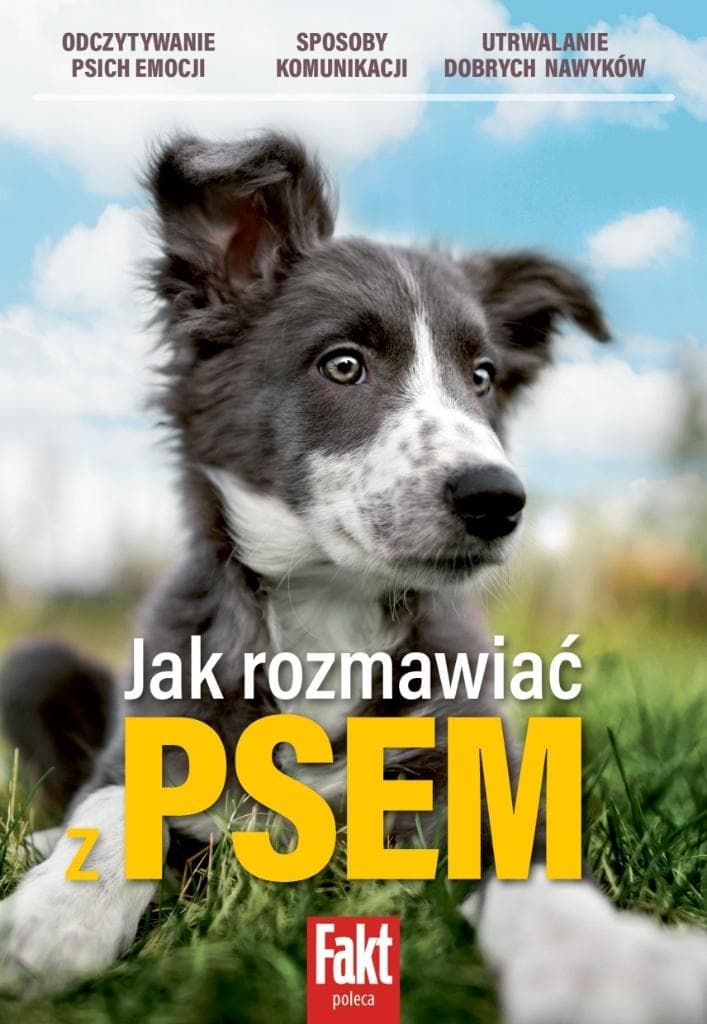 Jak rozmawiać z psem praktyczny poradnik dla właścicieli