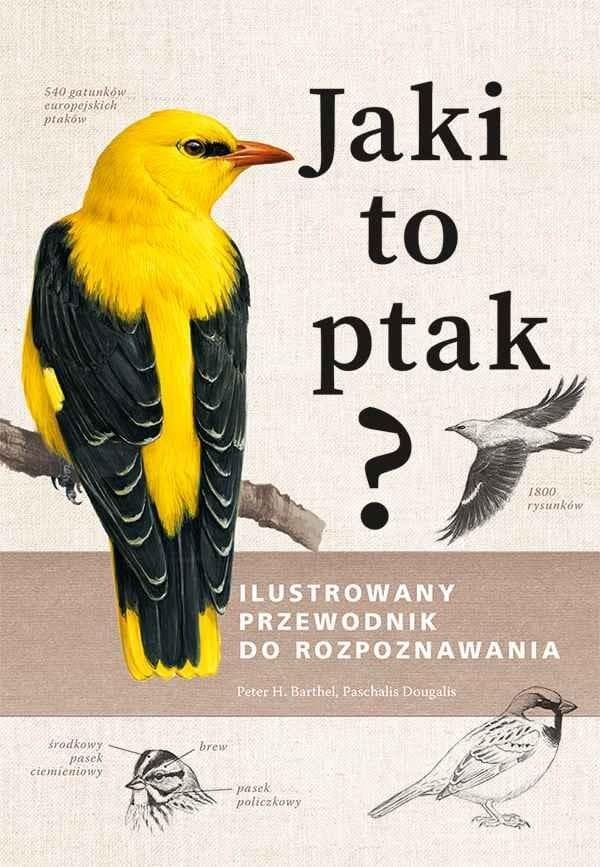 Jaki to ptak? Ilustrowany przewodnik do rozpoznawania gatunków