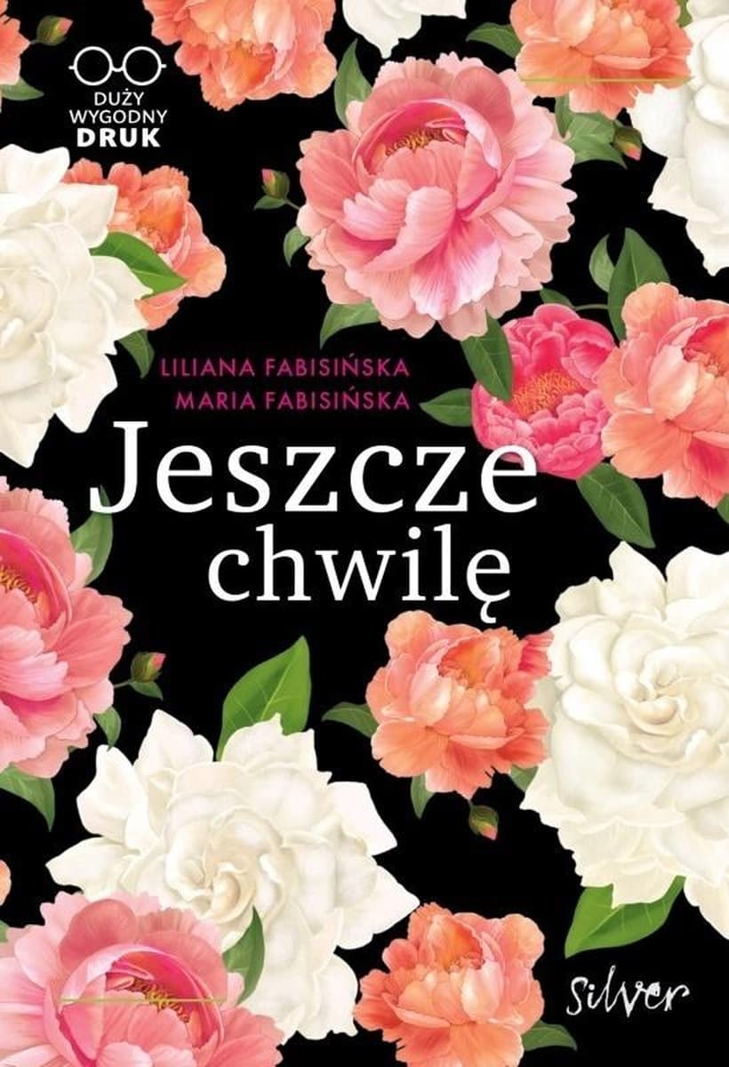 Jeszcze chwilę Liliana i Maria Fabisińska, powieść obyczajowa