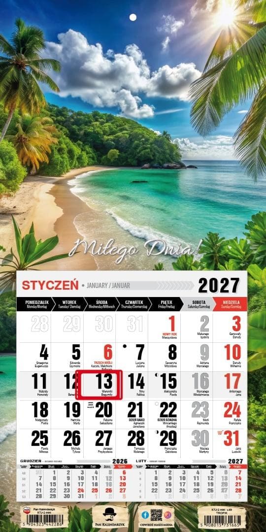 Kalendarz 2027 ścienny jednodzielny mini z magnesem Tropik 460x230 mm