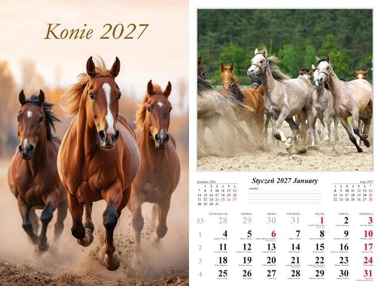 Kalendarz ścienny 2027 Konie 480x320 mm Radwan