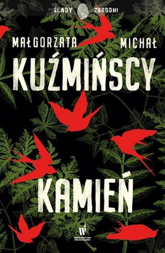 Kamień - Powieść obyczajowa wydanie 2024