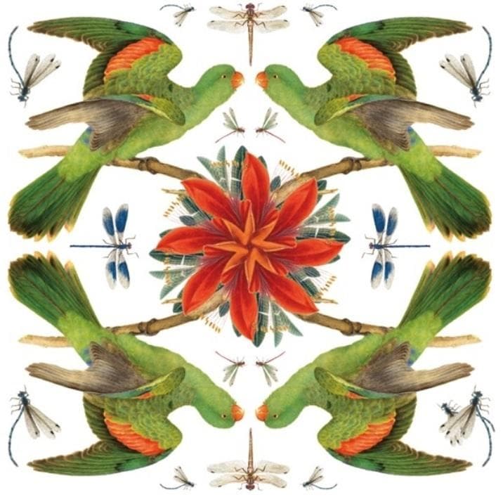 Karnet kwadratowy z kopertą Papuga Czerwonoskrzydła