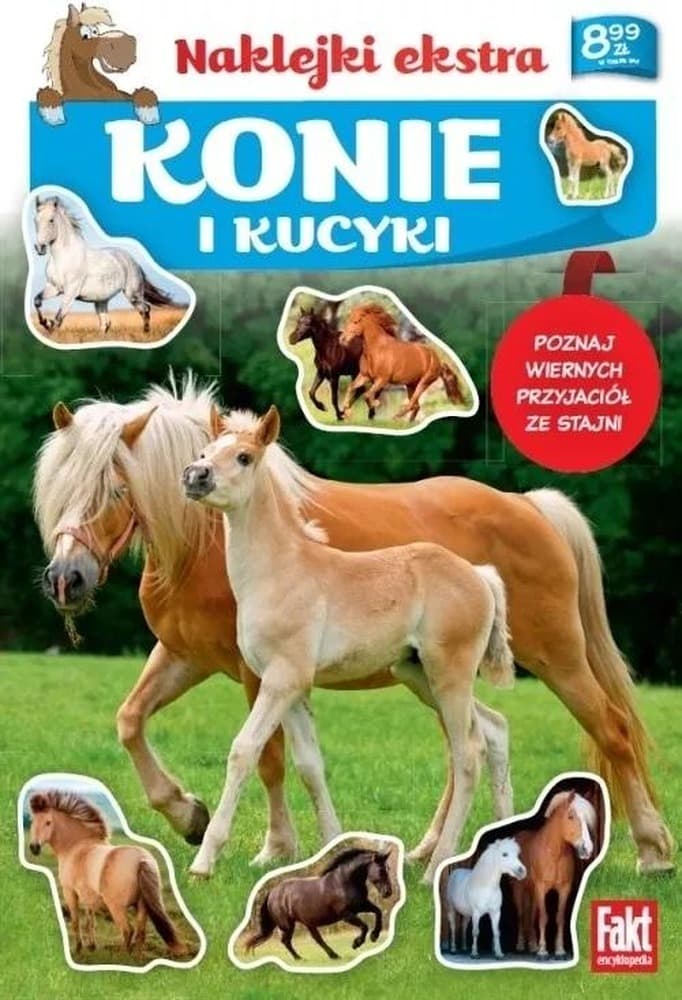 Konie i Kucyki Kolorowanka edukacyjna dla dzieci