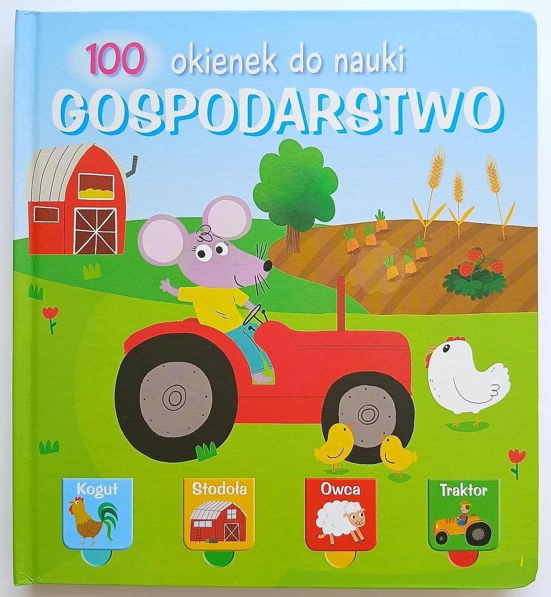 Książeczka Gospodarstwo 100 Okienek do Nauki dla dzieci