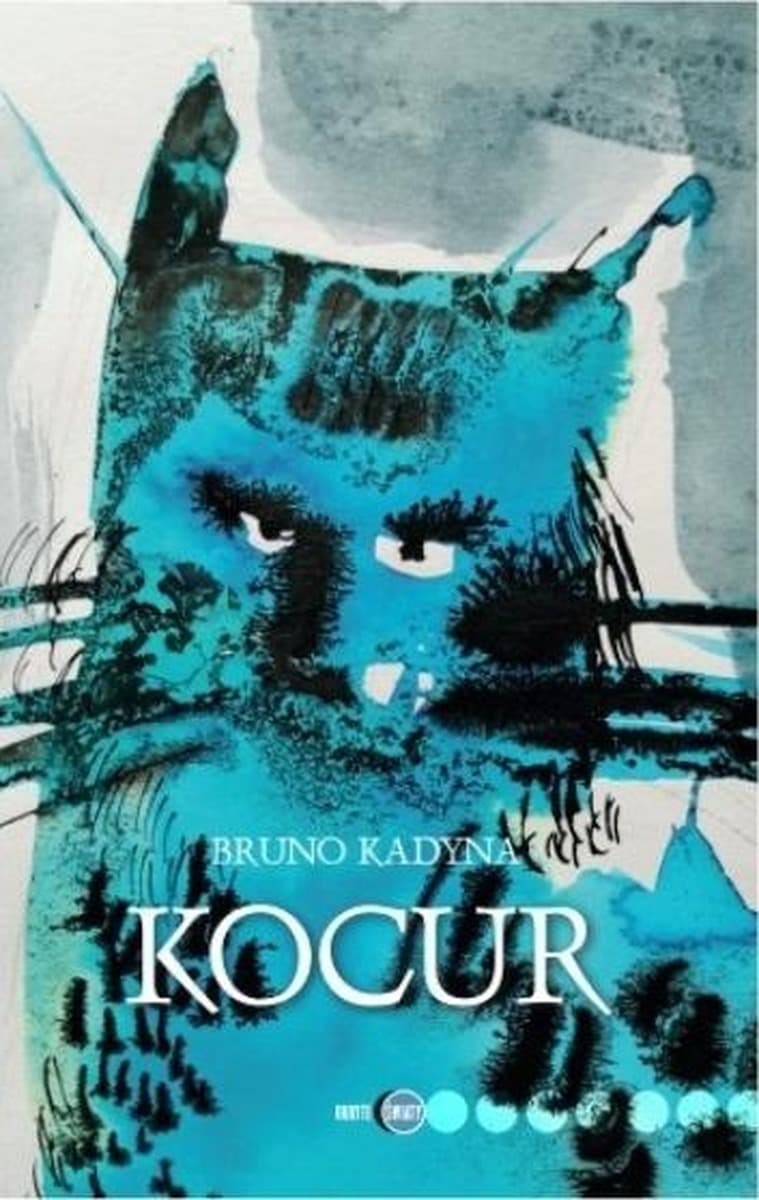Książka Kocur - Bruno Kadyna, powieść obyczajowa