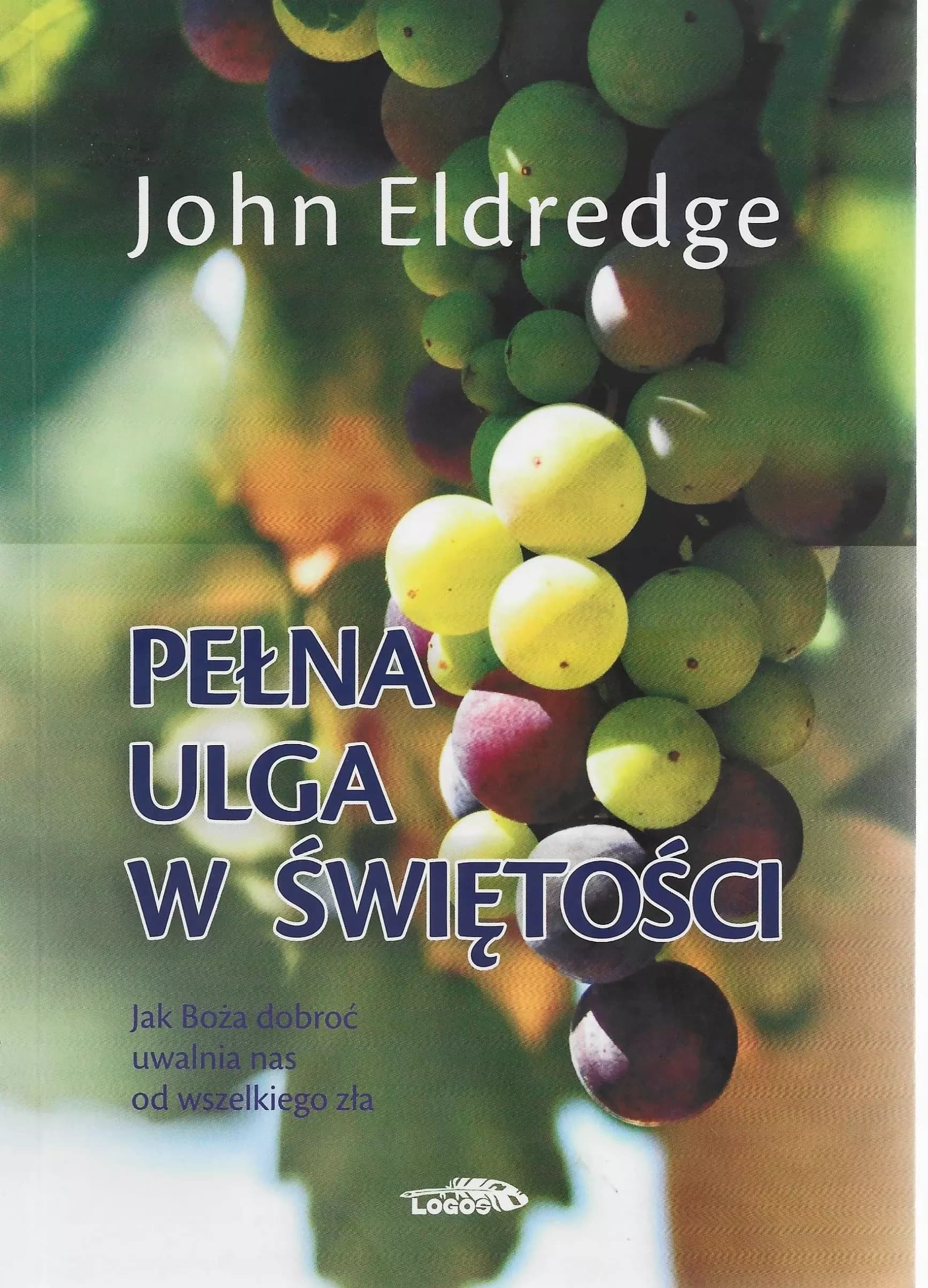 Książka Pełna ulga w świętości o tematyce religijnej