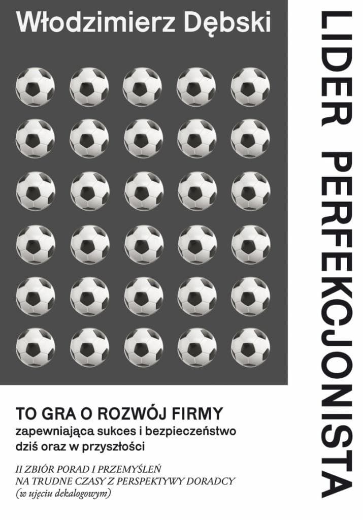 Lider perfekcjonista - Włodzimierz Dębski przewodnik dla menedżerów