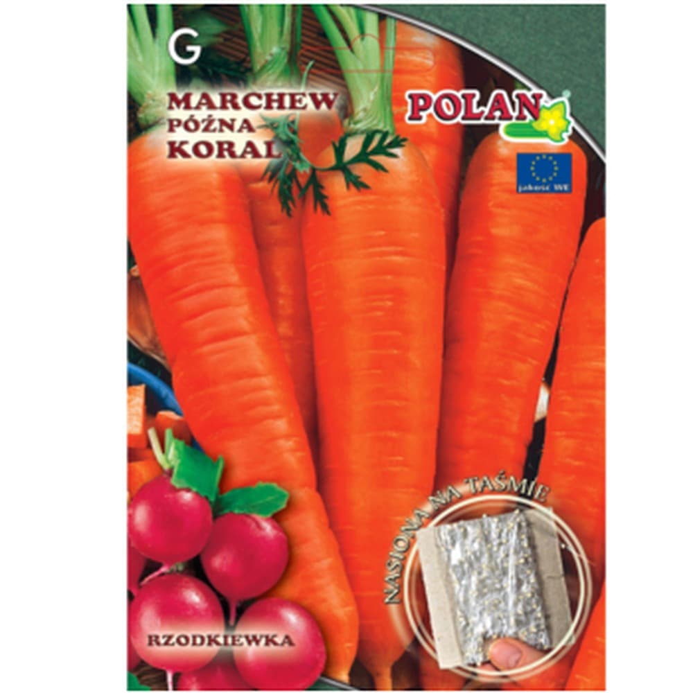 Zestaw Marchew Koral + wskaźnik