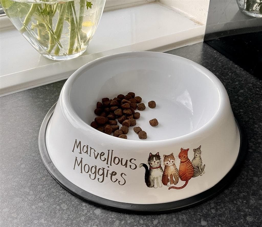 Miska dla kota z antypoślizgowym pierścieniem 21 cm
