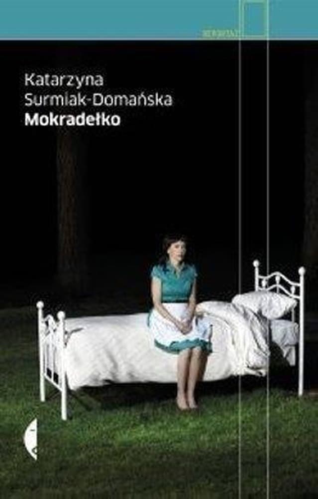 Mokradełko w.2 - spojrzenie na ofiarę przemocy Katarzyna Surmiak-Domańska