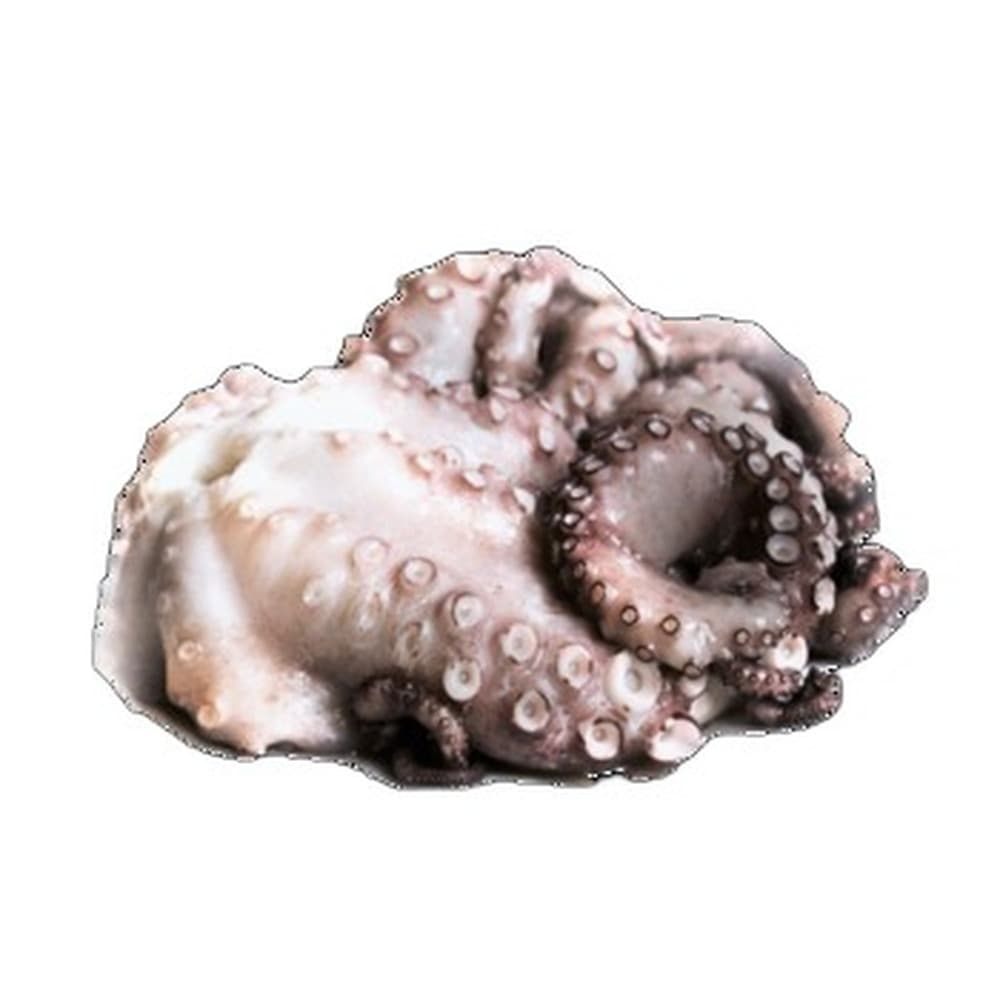 MyFood Ośmiornica cała surowa na tacy, rozmiar: 2- 3 kg, glazura: 0%
