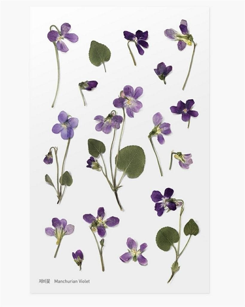 Naklejki ozdobne kwiaty Geranium do scrapbookingu