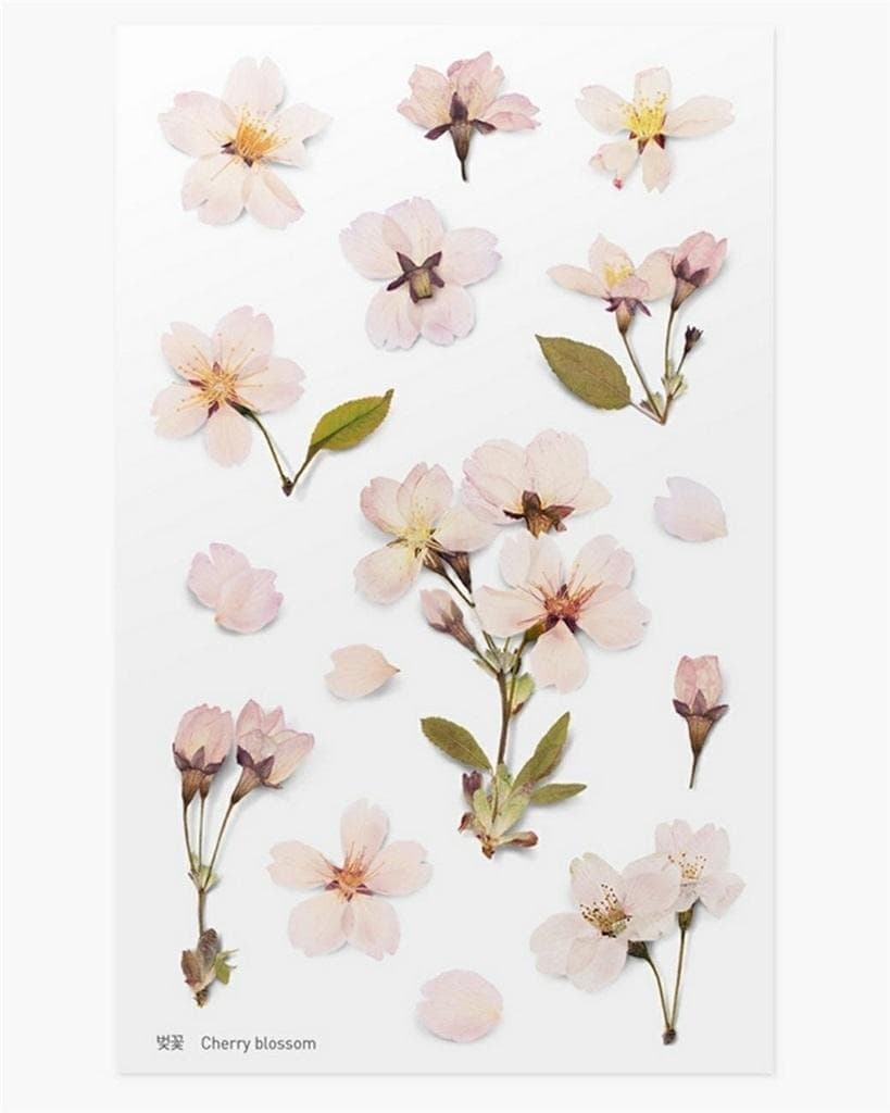 Naklejki ozdobne kwiaty Werbena do scrapbookingu i bullet journal
