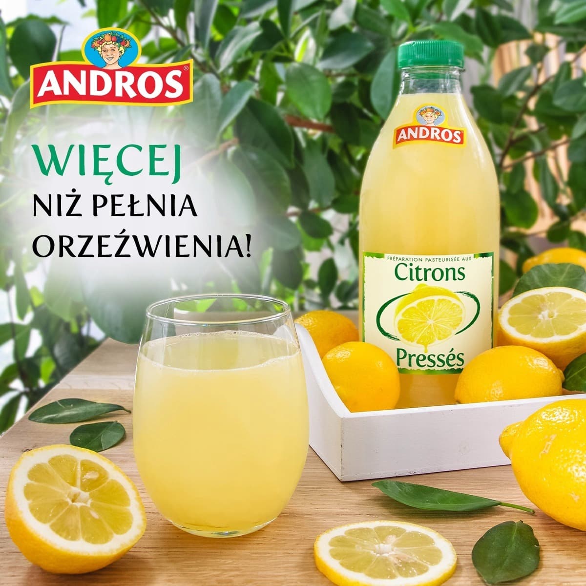 Andros Pasteryzowany produkt do picia cytrynowy 1 l