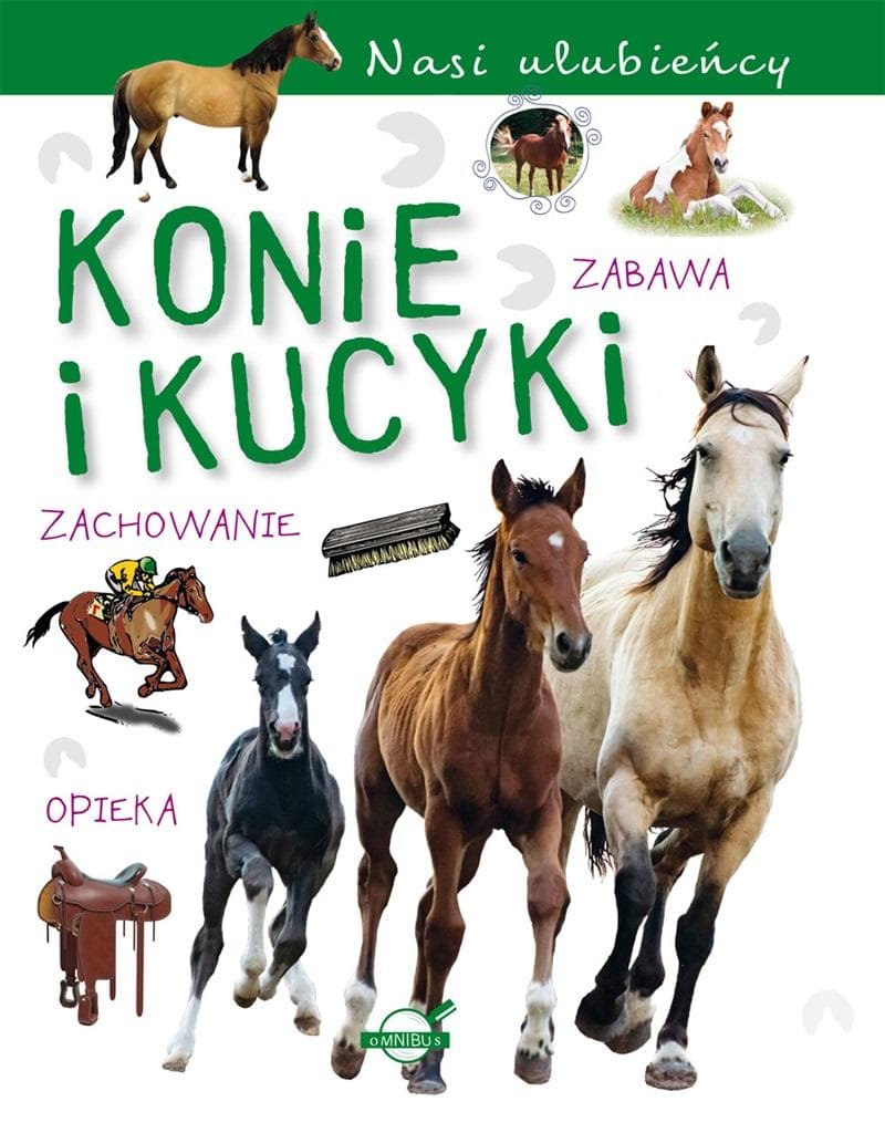 Konie i kucyki Nasi ulubieńcy Książka dla dzieci