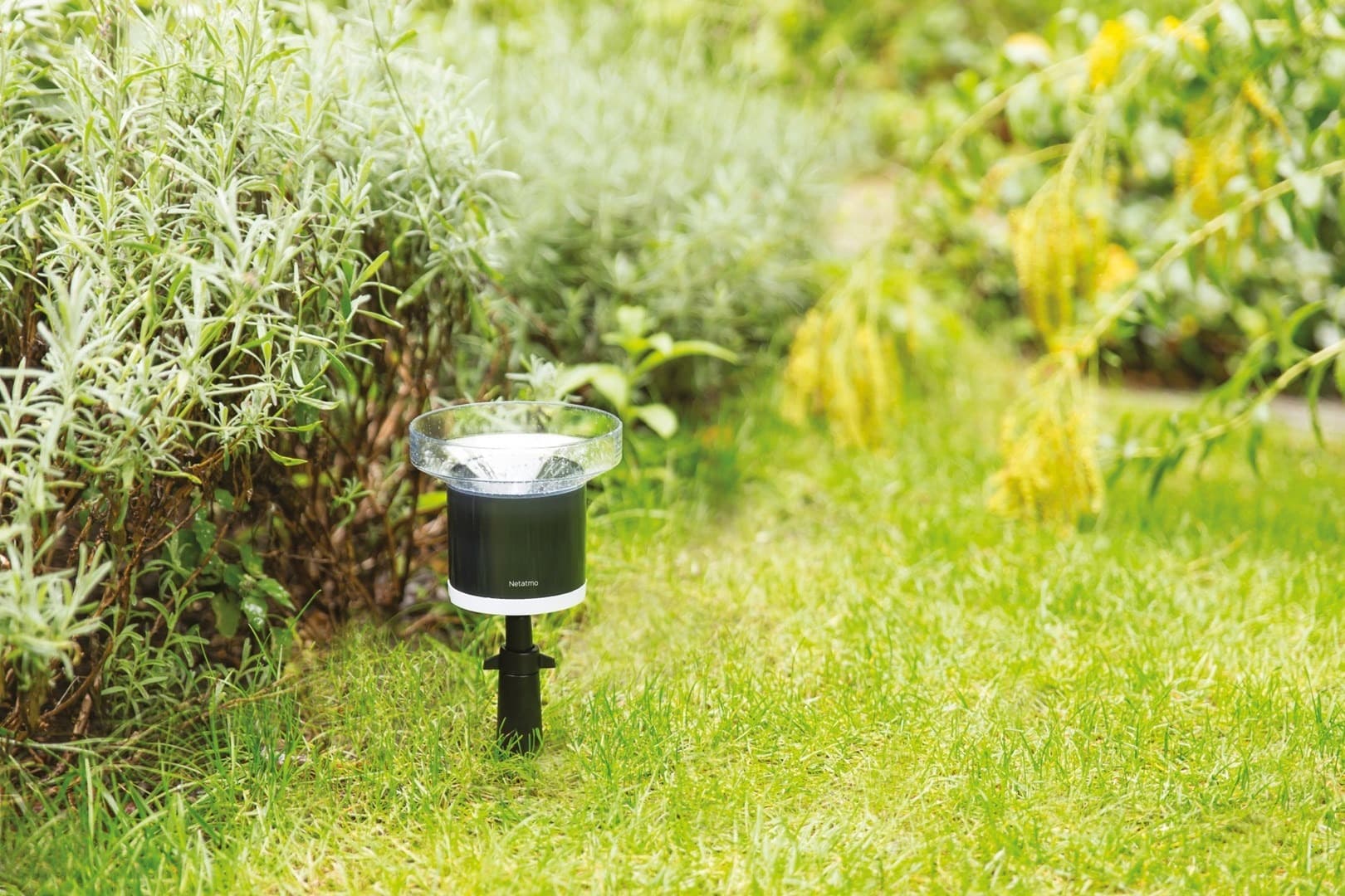 Deszczomierz Bezprzewodowy Netatmo 10 cm Czarny