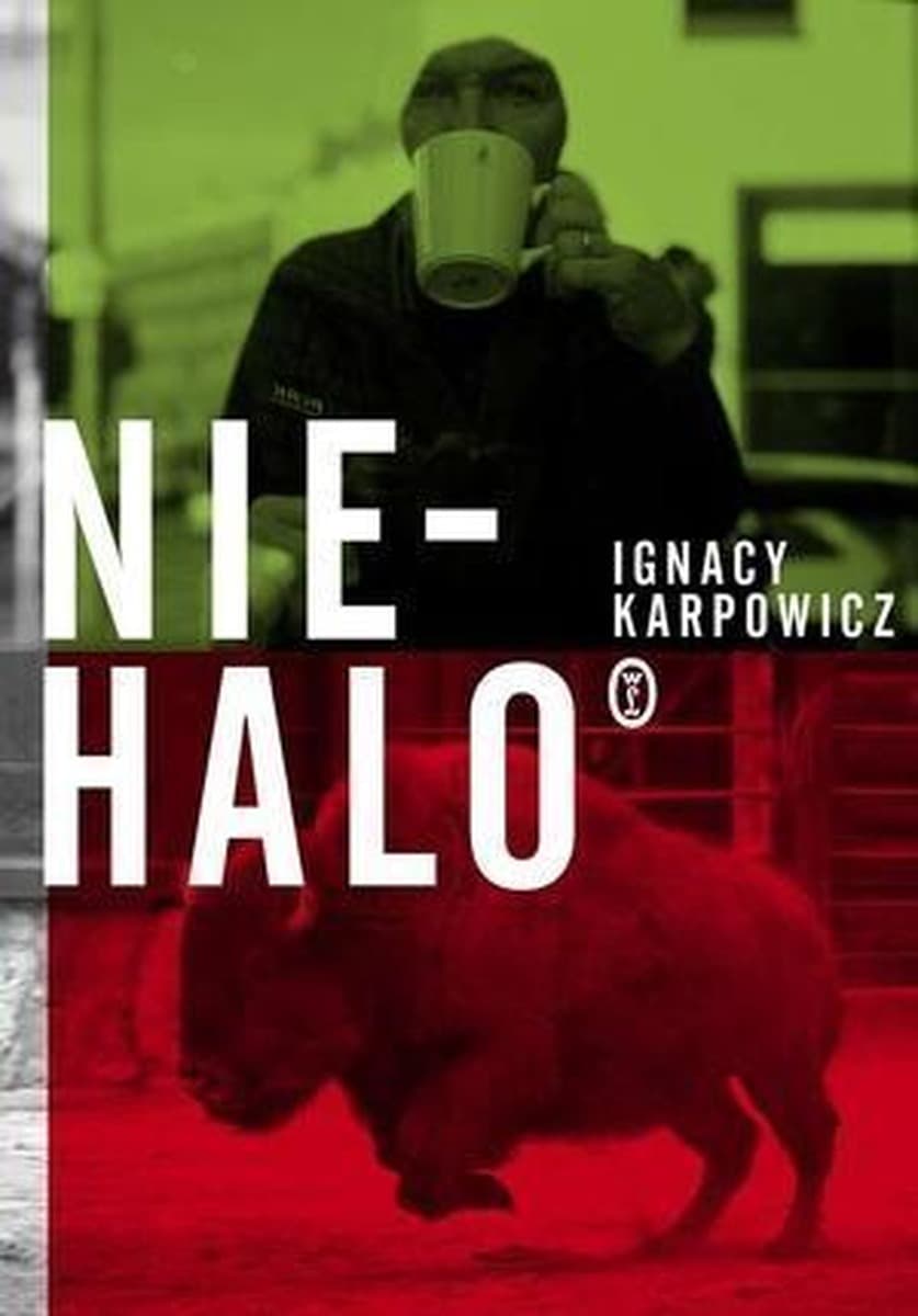 Niehalo: Debiutancka powieść Karpowicza - ironiczny styl