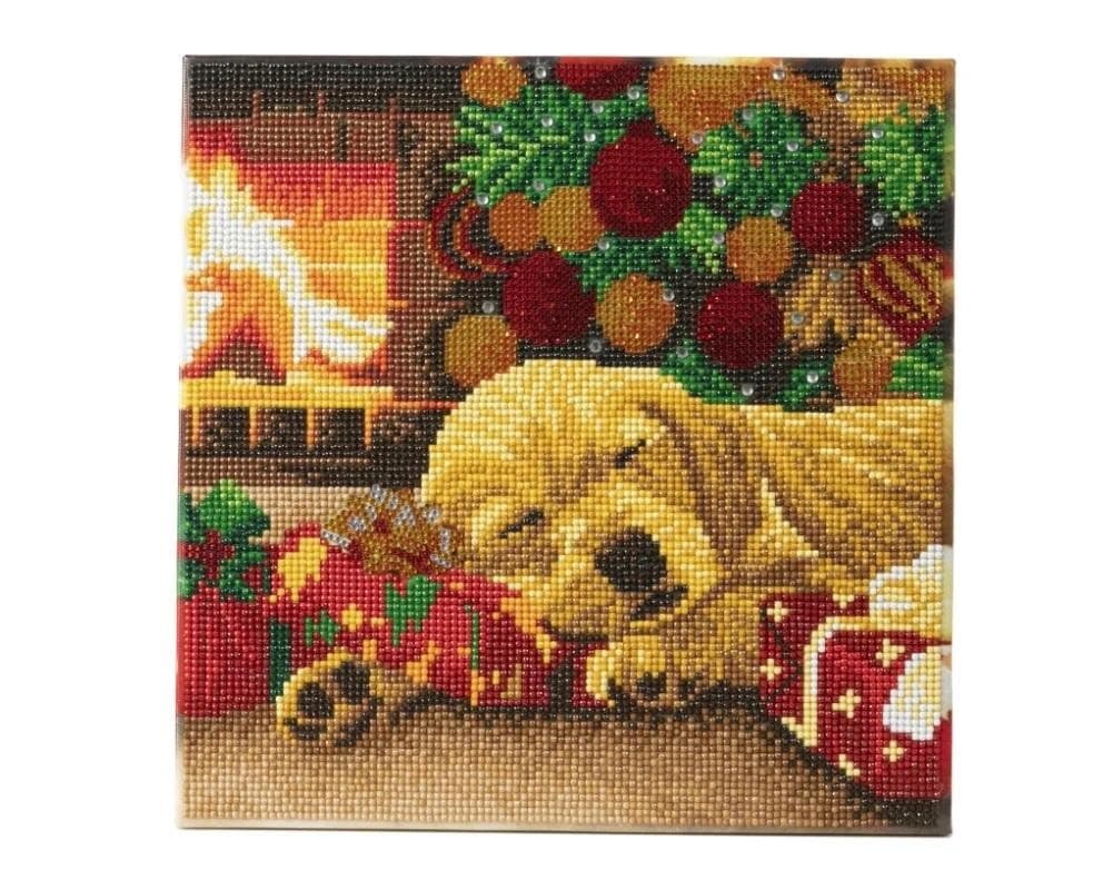 Obraz na płótnie z mozaiką Śpiący Labrador 30x30 cm