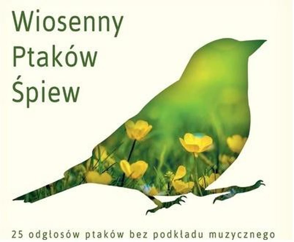 Odgłosy Ptaków Leśnych - Relaksacyjna CD
