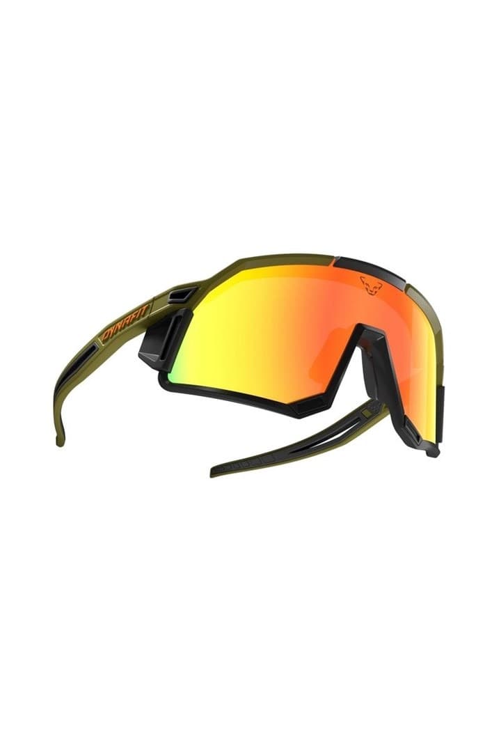 Okulary sportowe Dynafit Sky Evo Winter Moss Dawn