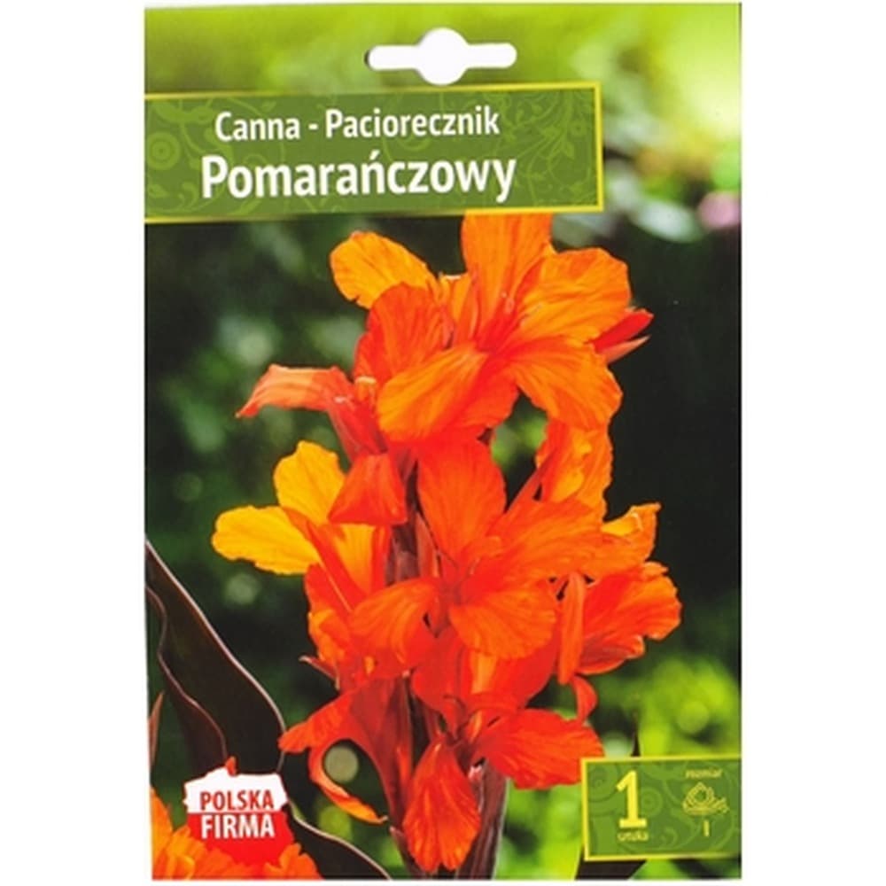 Canna - Paciorecznik pomarańczowy 1 szt Benex