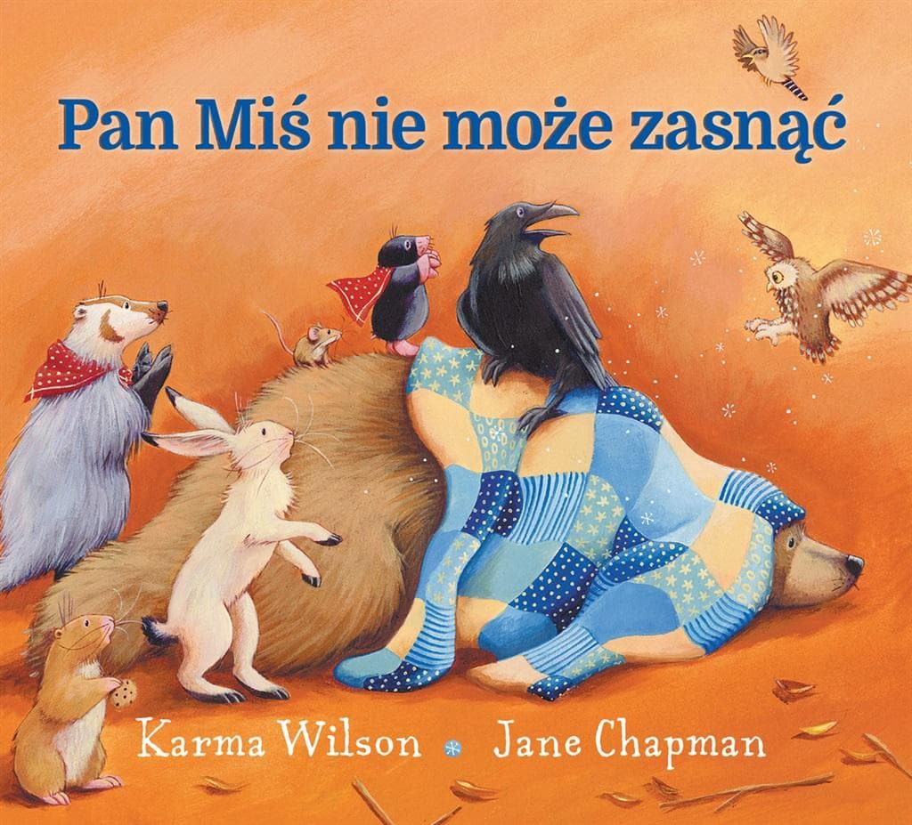 Pan Miś nie może zasnąć - książka dla dzieci