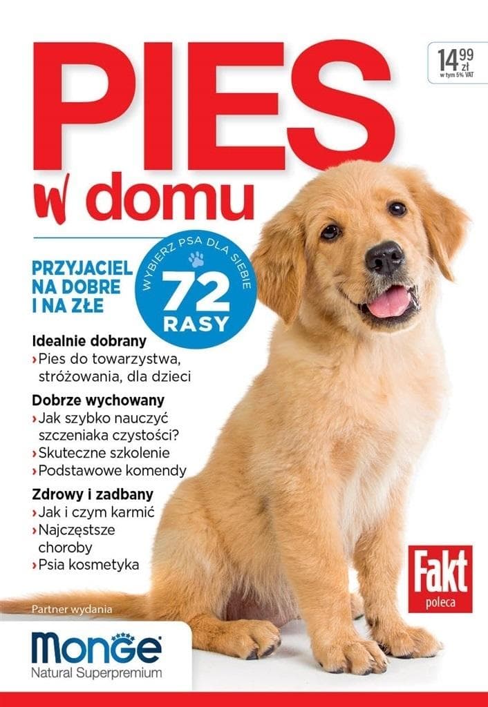Pies w domu - poradnik dla właścicieli psów