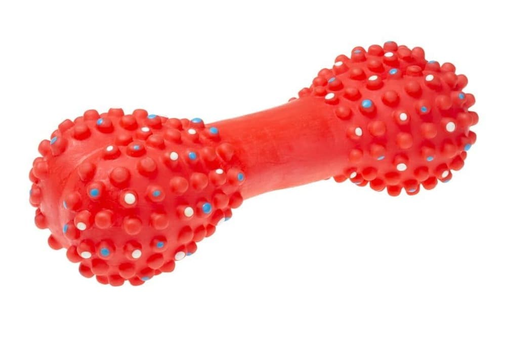 Piszcząca kość z kolcami dla psa 16,7 cm mix kolorów