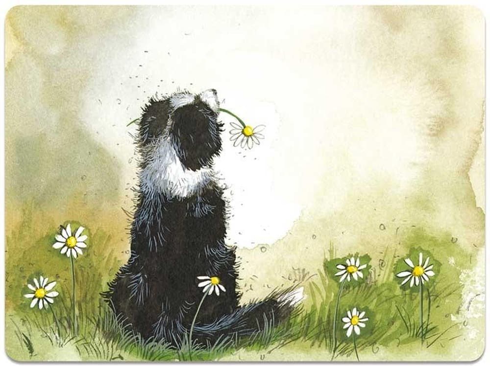 Podkładka na stół Pies Border collie 29 x 21,5 cm