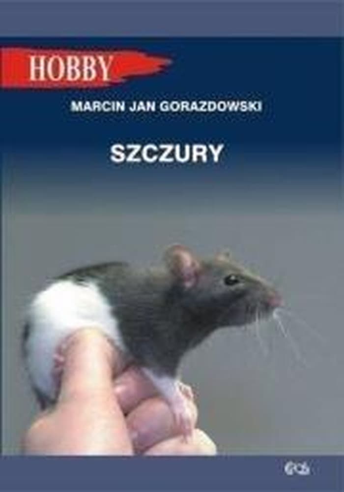 Poradnik o hodowli szczurów w domu