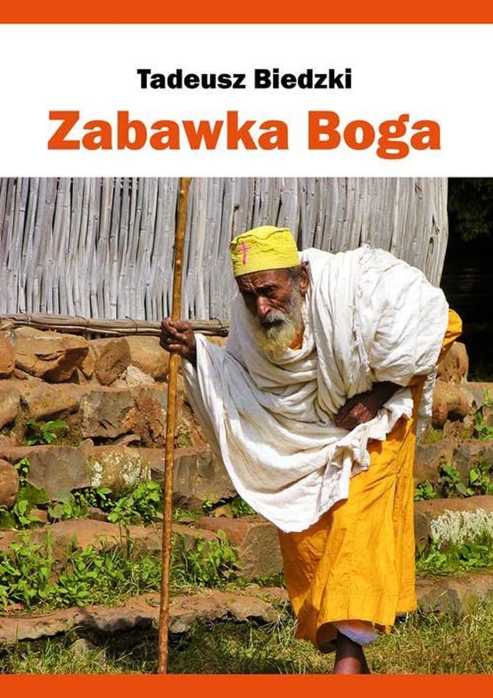 Powieść sensacyjno-historyczna Zabawka Boga