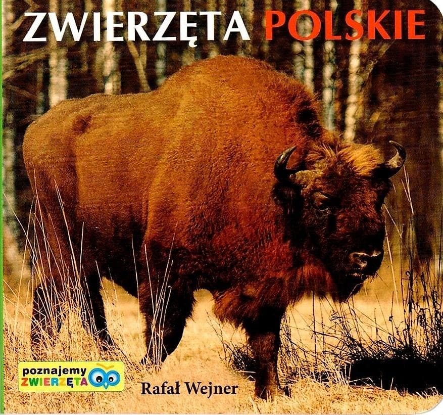 Liwona: Poznajemy zwierzęta polskie - książka dla dzieci