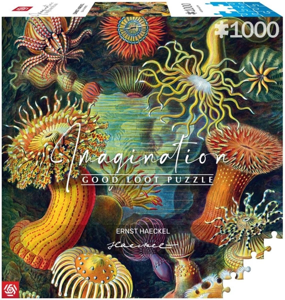 Puzzle 1000 elementów Good Loot Imagination Ernst Haeckel Stworzenia Morskie