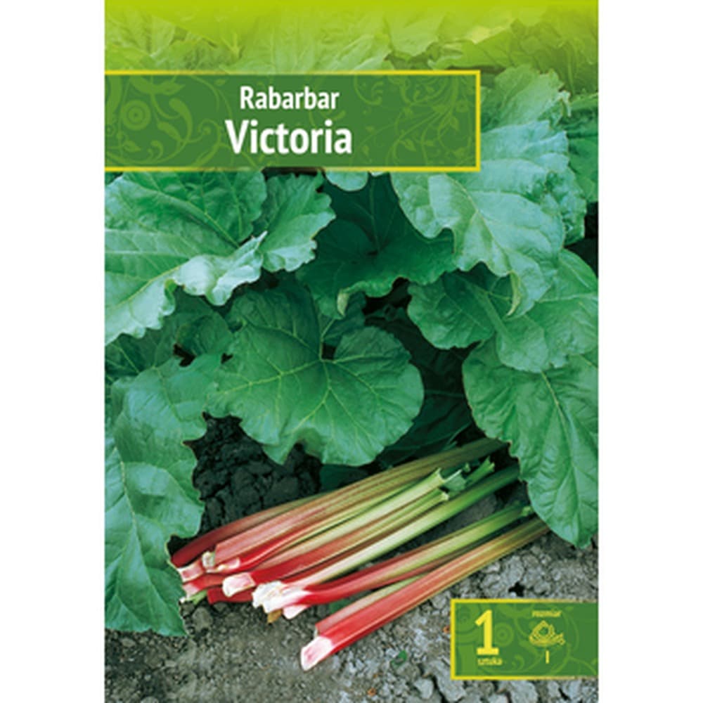 Rheum - Rabarbar Victoria Wybór "I" 1 Szt.