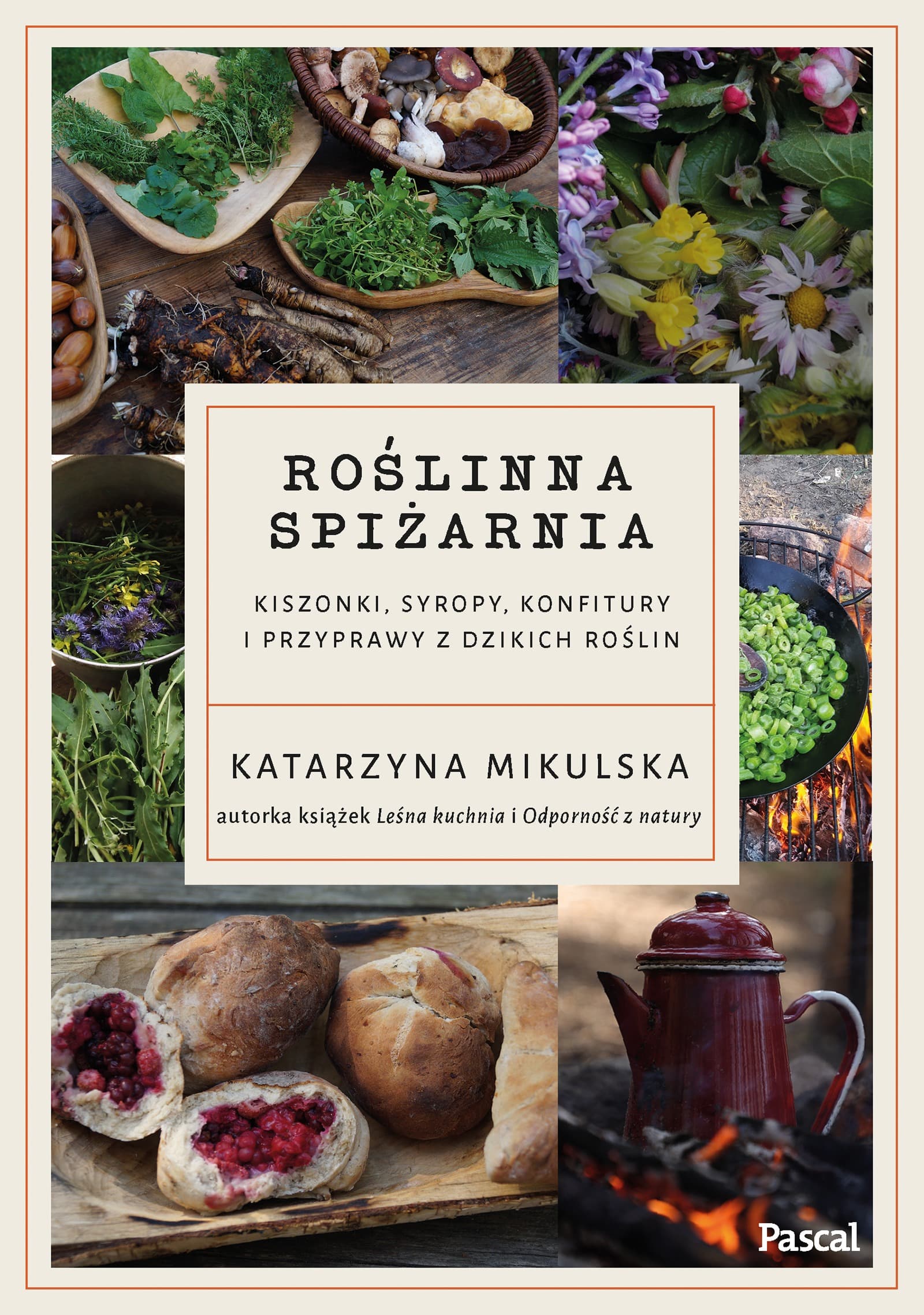 Roślinna spiżarnia. Kiszonki, syropy i przyprawy