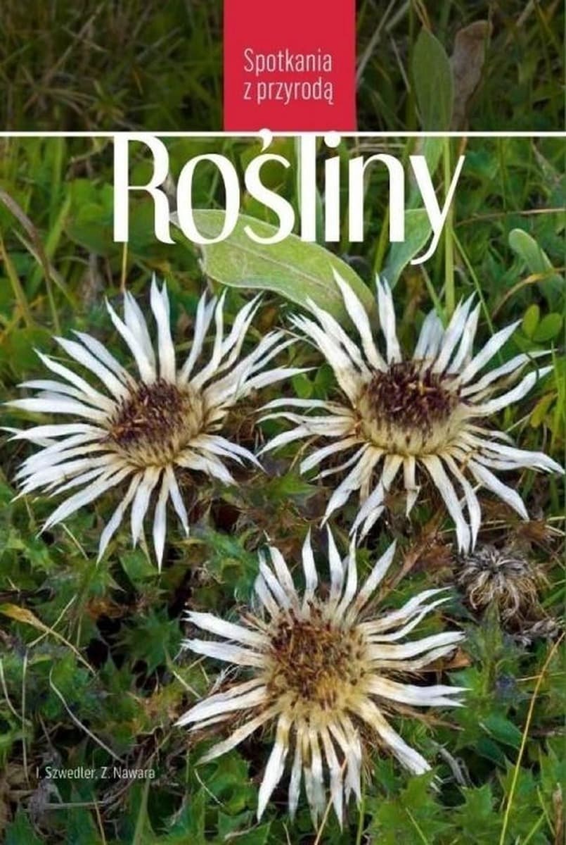 Rośliny. Spotkania z przyrodą - Przewodnik rozpoznawania