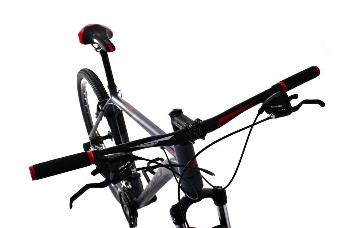Rower górski Capriolo LC 9.1 MTB 29"/21 AL zielono-czerwony 2024