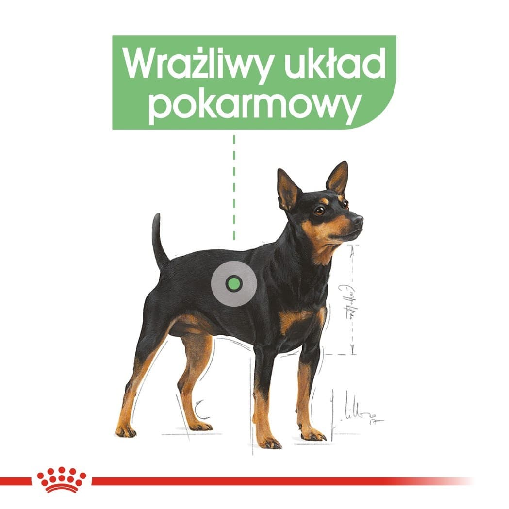 ROYAL CANIN CCN DIGESTIVE CARE LOAF - mokra karma dla psa dorosłego - 12 x 85 g
