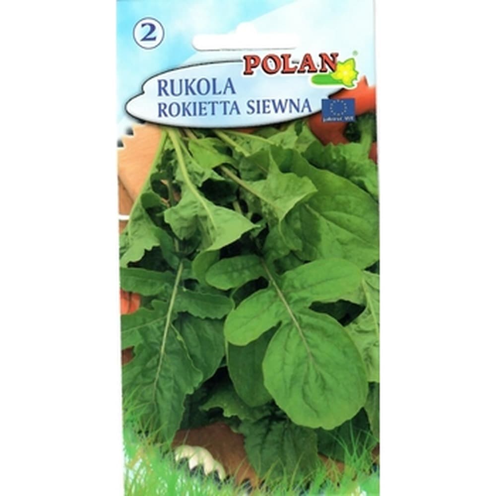 Rukola Polan - do sałatek i dań mięsnych