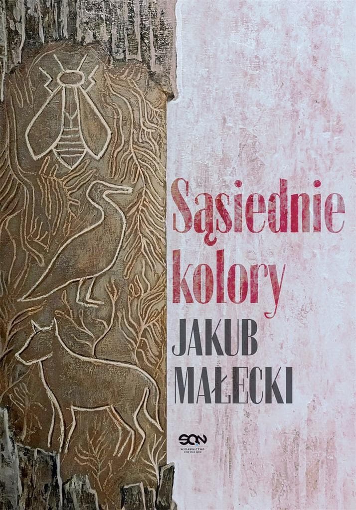 Powieść Sąsiednie kolory Sine Qua Non 252 strony