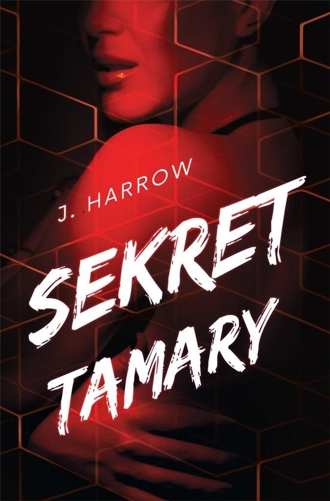 Sekret Tamary Powieść Obyczajowa ImagineBooks 382 strony