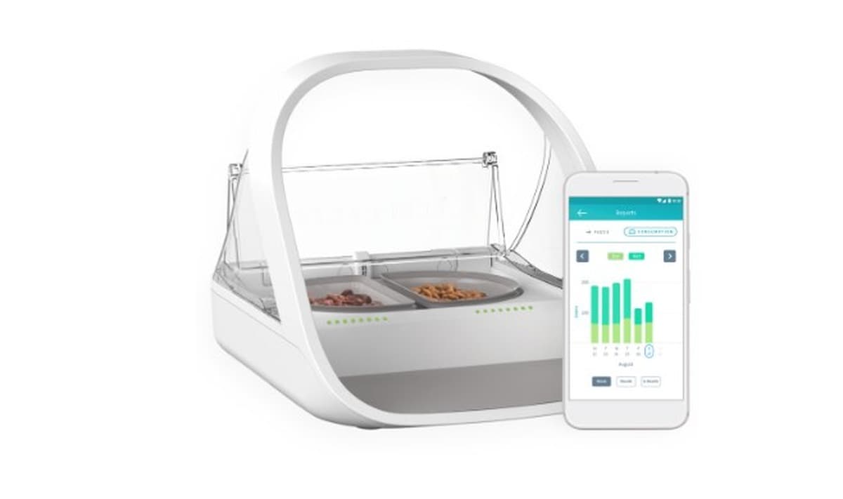 SUREFEED Futterautomat CONNECT - Inteligentny Dozownik Karmy dla Zwierząt