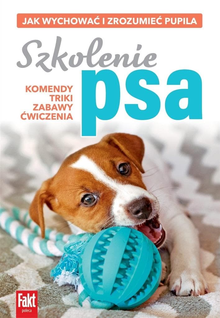 Szkolenie psa - poradnik dla właścicieli