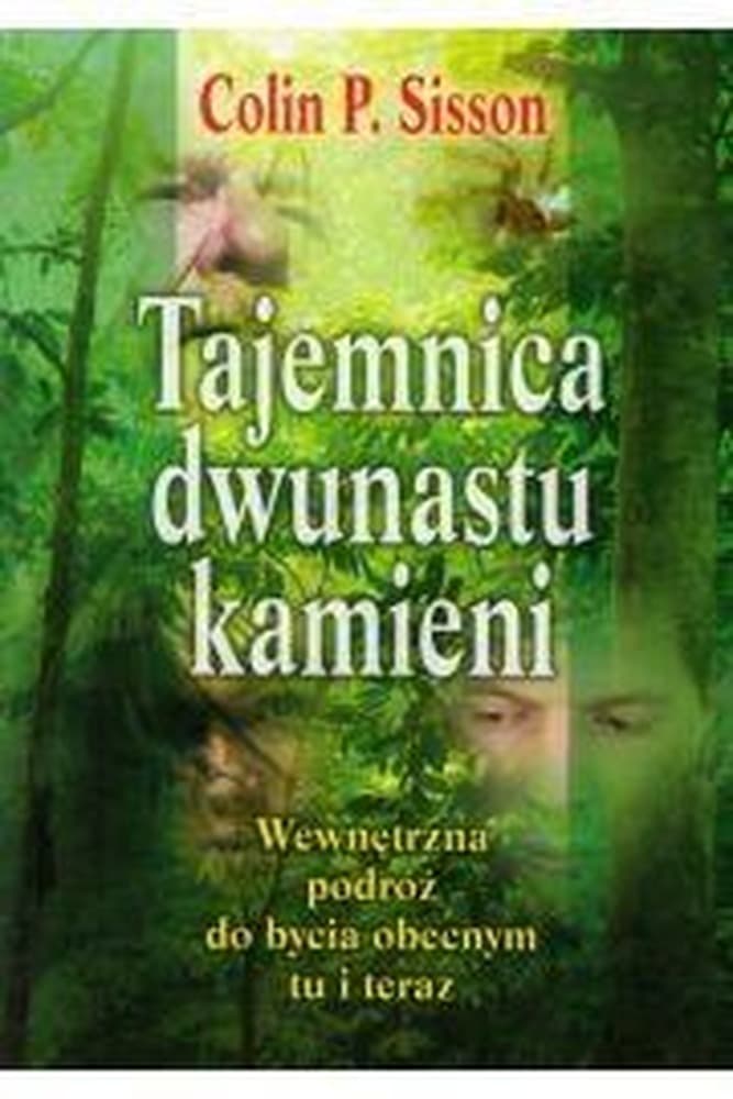 Tajemnica dwunastu kamieni - Książka