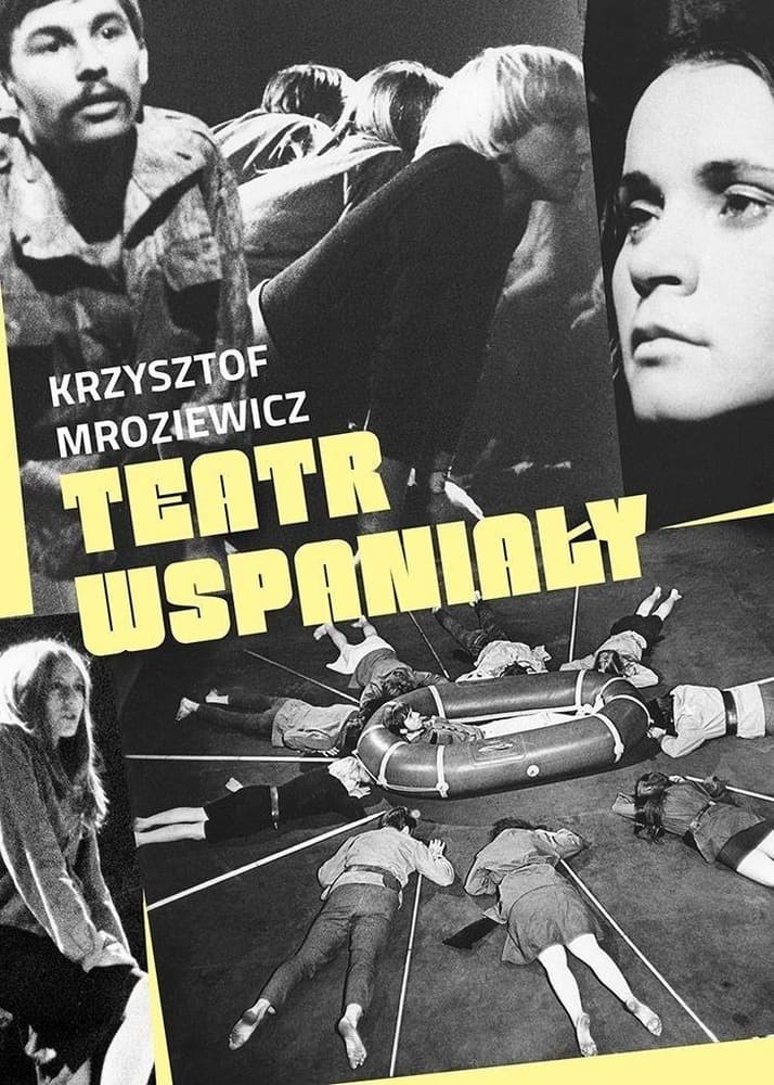 Teatr i jego wspaniałość - eseje Krzysztofa Mroziewicza