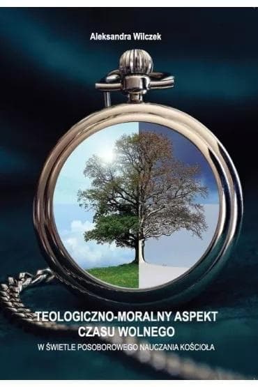 Teologiczno-moralny aspekt czasu wolnego - Aleksandra Wilczek 244 strony