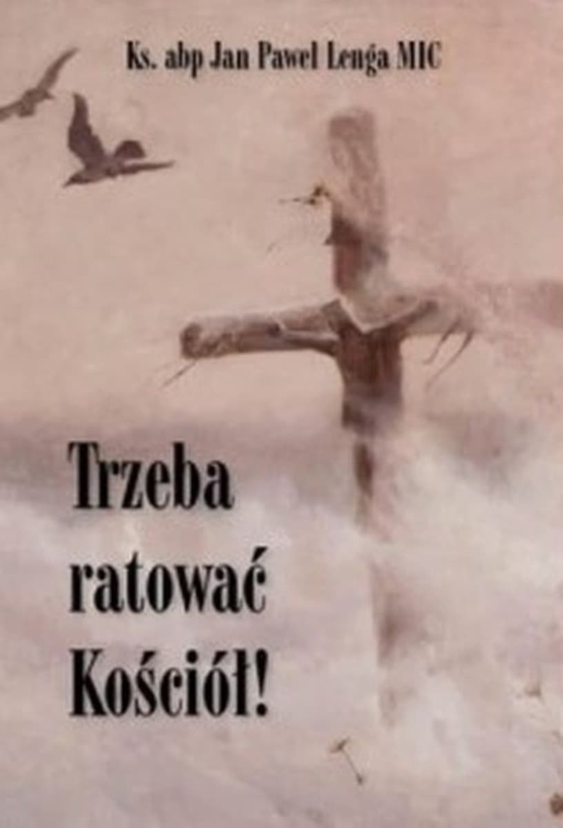 Trzeba ratować Kościół! - Książka o religii