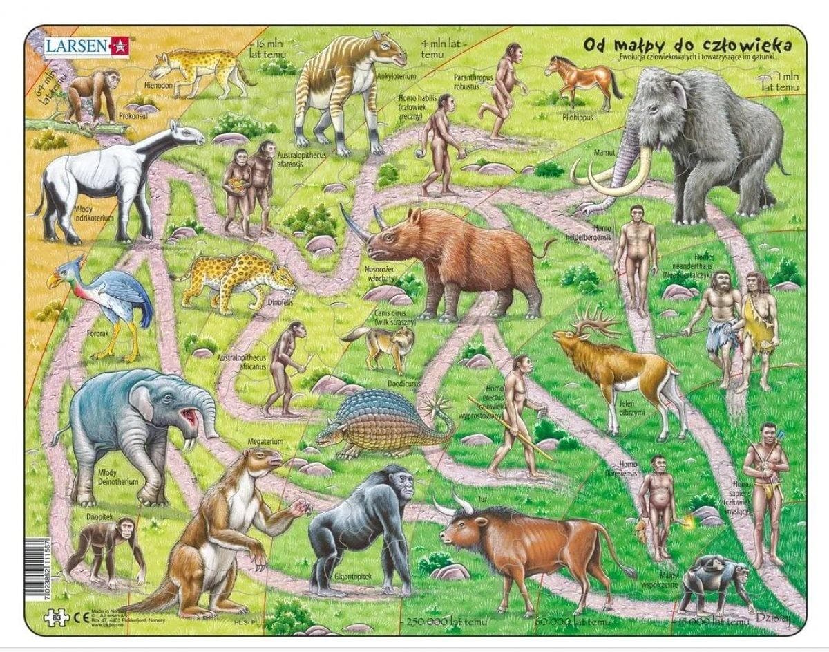 Puzzle Maxi Droga od małpy do człowieka 83 elementy