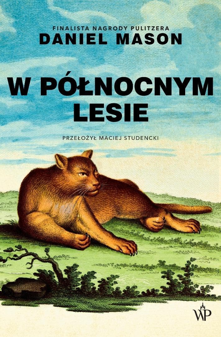 W północnym lesie w.2 - Daniel Mason - powieść oprawa broszurowa 448 stron